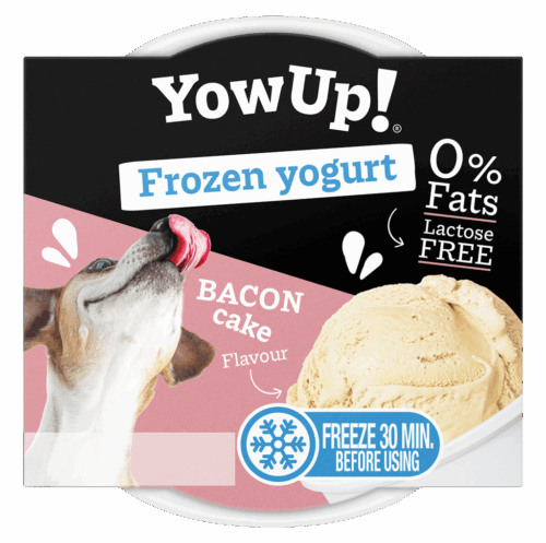 YowUp Ice Cream Yogurt BACON CAKE 110g