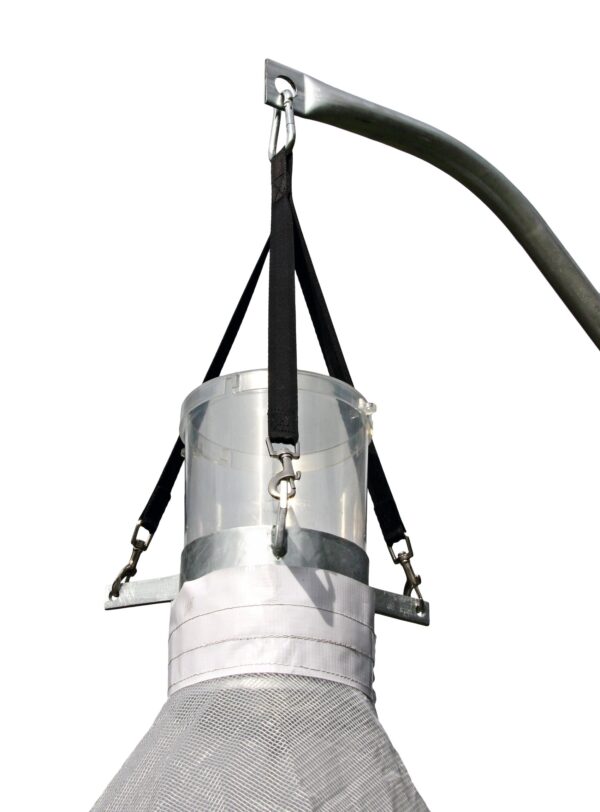 Dazenval TaonX compleet