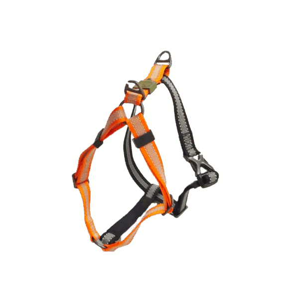297613 AFP Off Street Dog Non-pull Harness Tangerine M