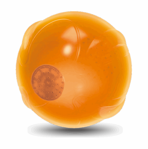 297618 AFP Zen Pet-Anti Anxiety Speaking ball