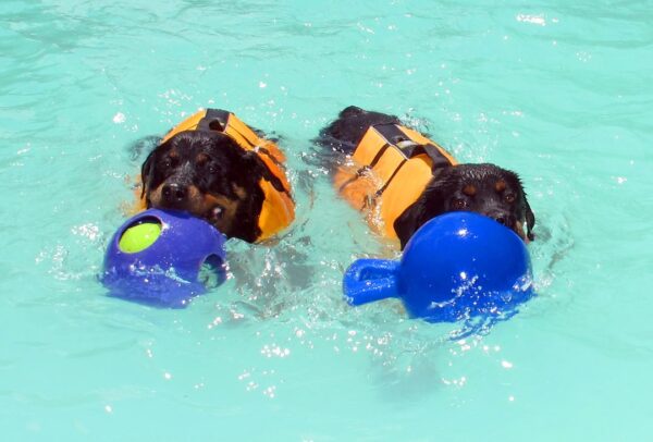 297738 Jolly Tug-n-Toss 15 cm Rood