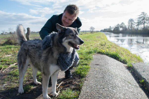 297794 Royal Dry Towel