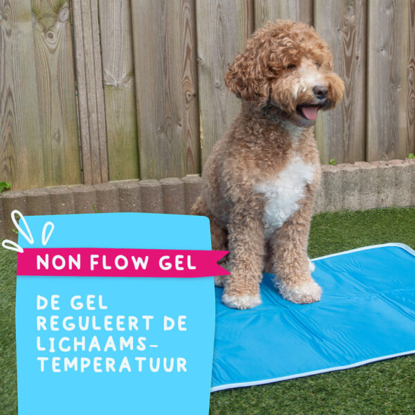 297822 Coolpets Premium Solid Gel Coolmat XS (40x30cm)