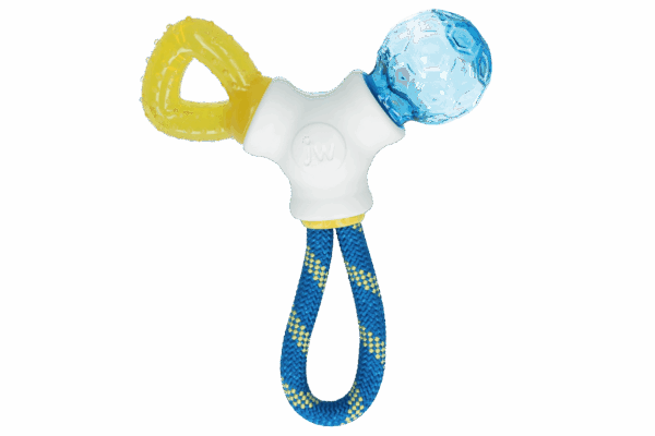 297878 JW Puppy connects