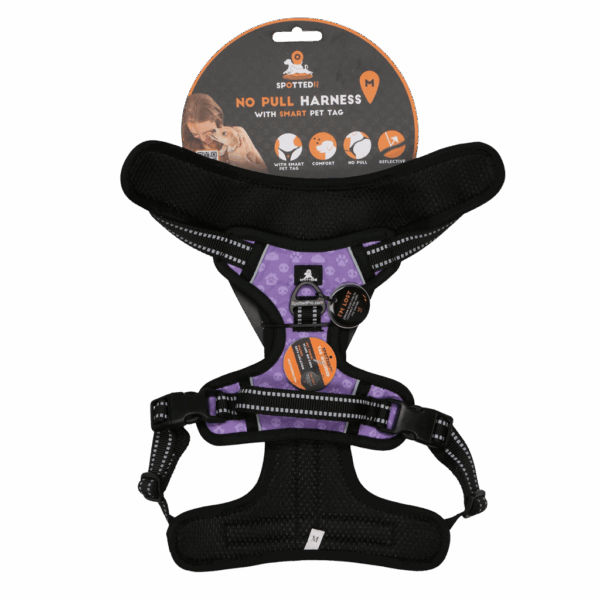Spotted! PRO Harnas Paars M