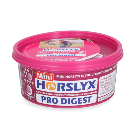 297890 Horslyx Mini Pro Digest