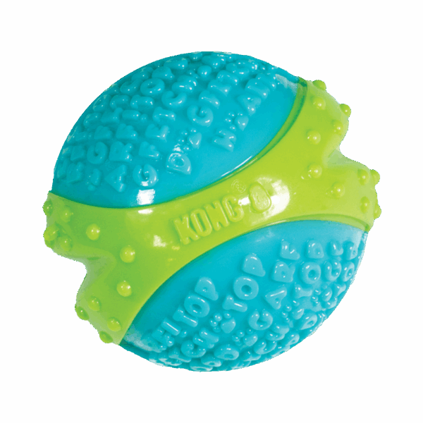 297942 KONG CoreStrength Ball Medium