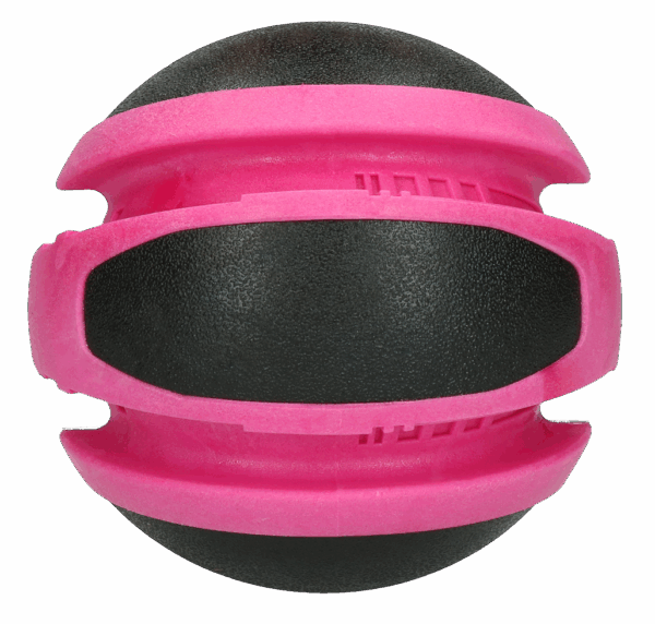 Dog Comets Planet Jupiter Roze