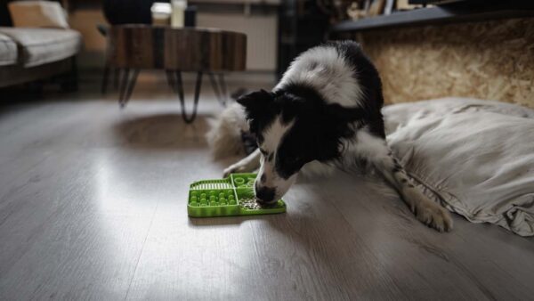 297975 Eat Slow Live Longer Lick Mat Dimensions Rectangle Red