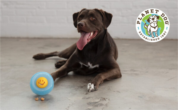 298129 Outward Hound Orbee-Tuff Nooks-Face Yellow Planet Dog