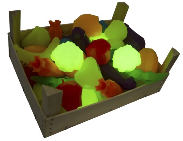 298199 Zee.Dog Super Bloemkool