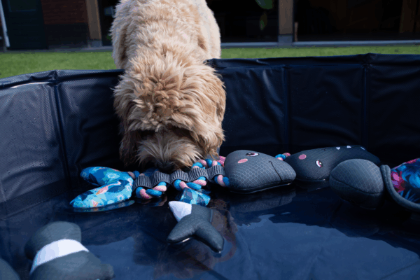 298292 CoolPets Pull me! Fishy rope (Flamingo)