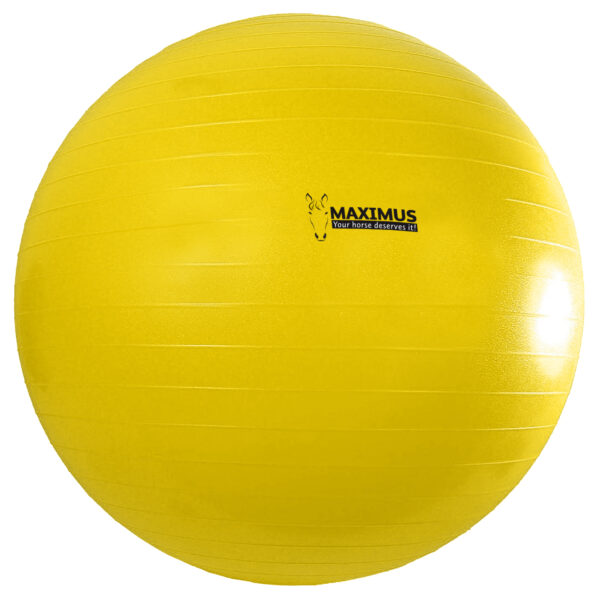 Maximus Power Play Ball 100cm