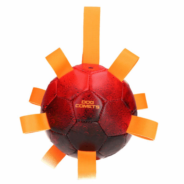 298418 Dog Comets Hypernova Oranje