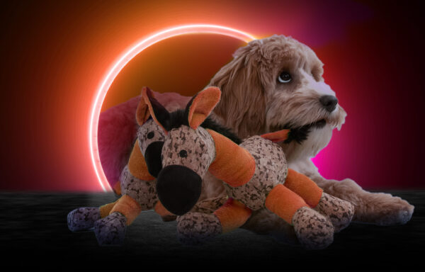 298419 Retrodog Donkey Orange M