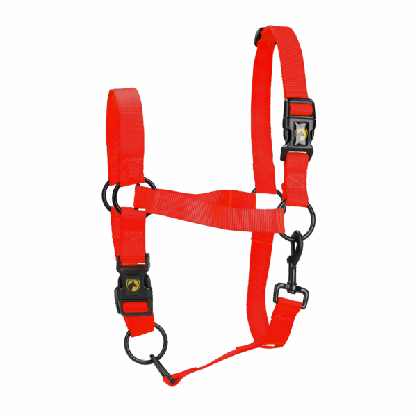 298428 Excellent Horse Essential Halster L Cob Rood