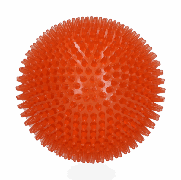 298452 Dog Comets Exoplanet Orange S