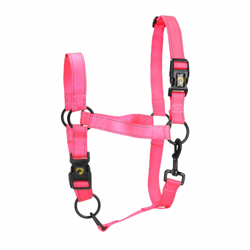 Excellent Horse Premium Halster XL Full Roze