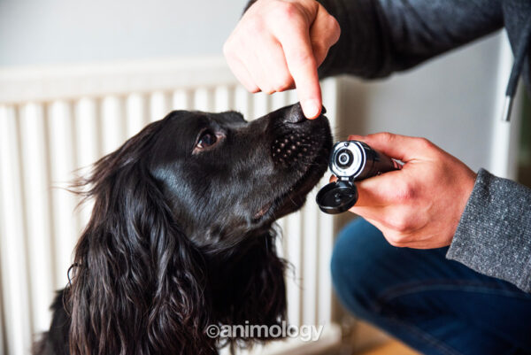 298564 Animology Paws & Nose Balm 50ml