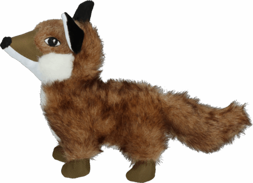 298610 Wild Life Dog Fox