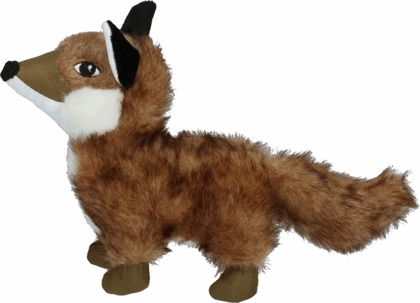 298610 Wild Life Dog Fox