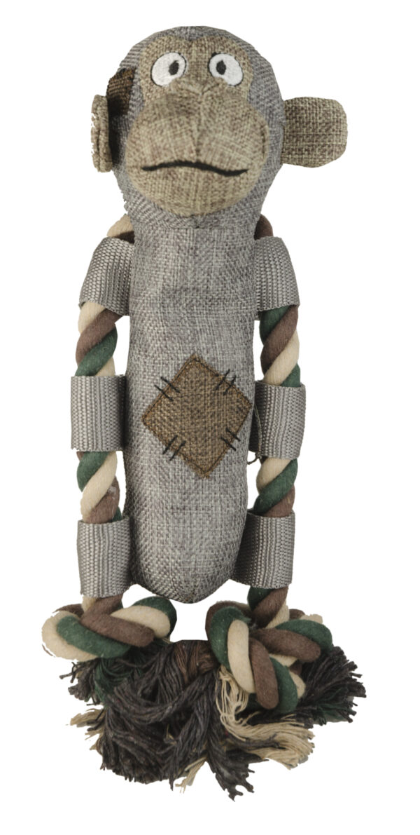 298647 Country Dog King Louie