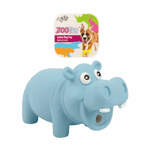 298697 AFP Hector the Hippo - S
