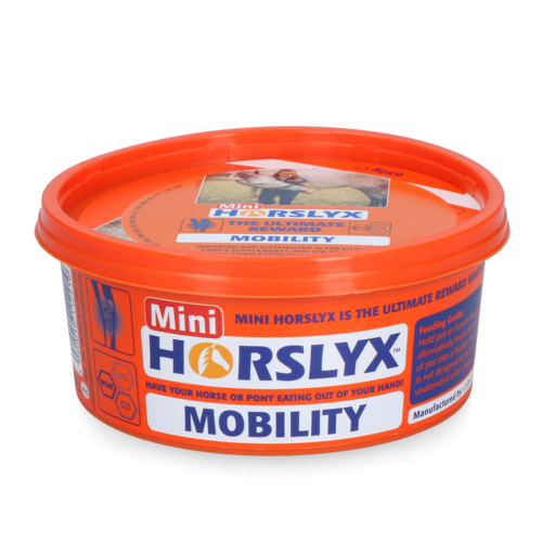 298819 Horslyx Mini Mobility