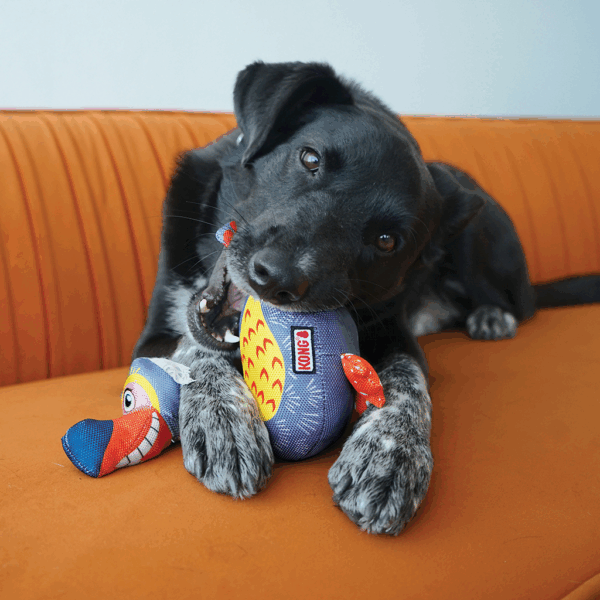 298849 KONG Ballistic Vibez Birds Assorted Md/Lg