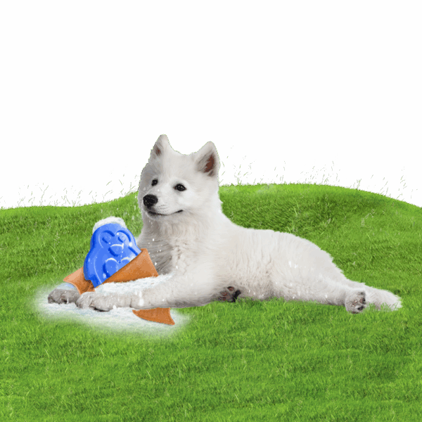 298854 CoolPets Cooling Ice Penguin