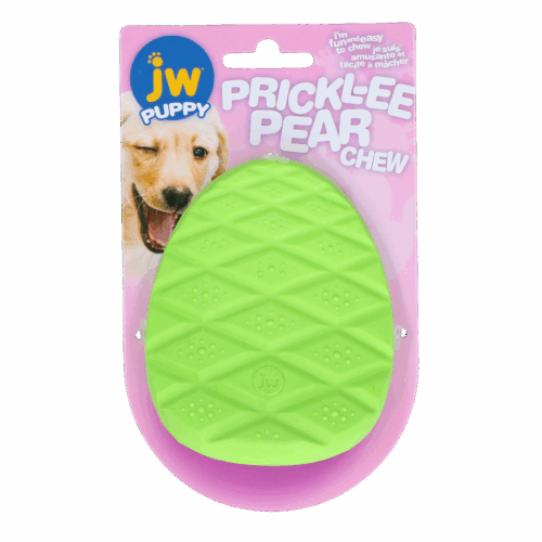 298878 JW Prickl-ee pear teether