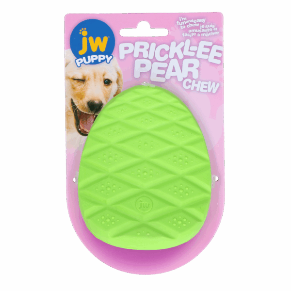 298878 JW Prickl-ee pear teether