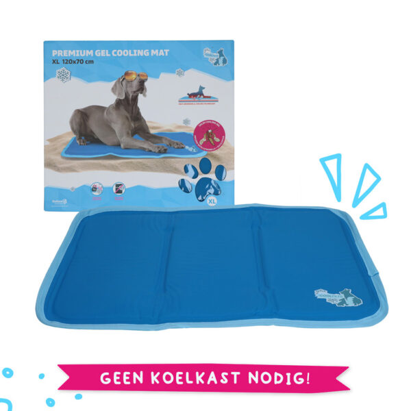 299065 Coolpets Premium Solid Gel Coolmat XS (40x30cm)
