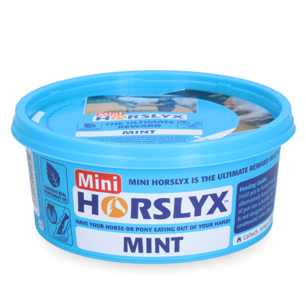299154 Horslyx Mini Mint