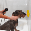299209 AFP Calm Paws - Bath anti anxiety duck