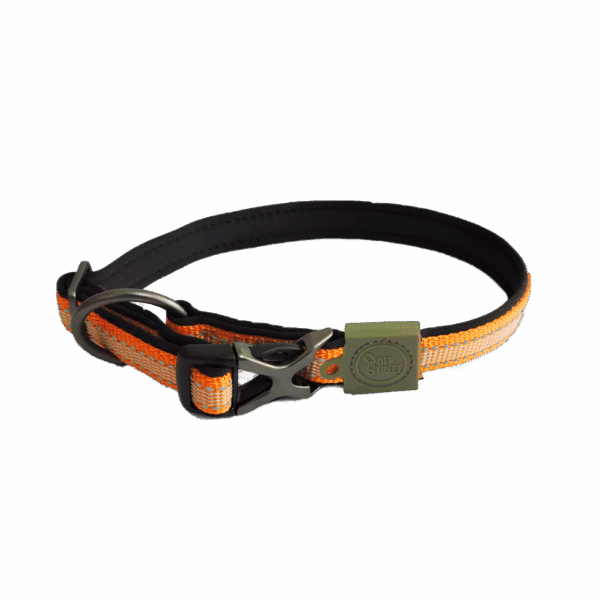 299233 AFP Off Street Dog Collar Tangerine S
