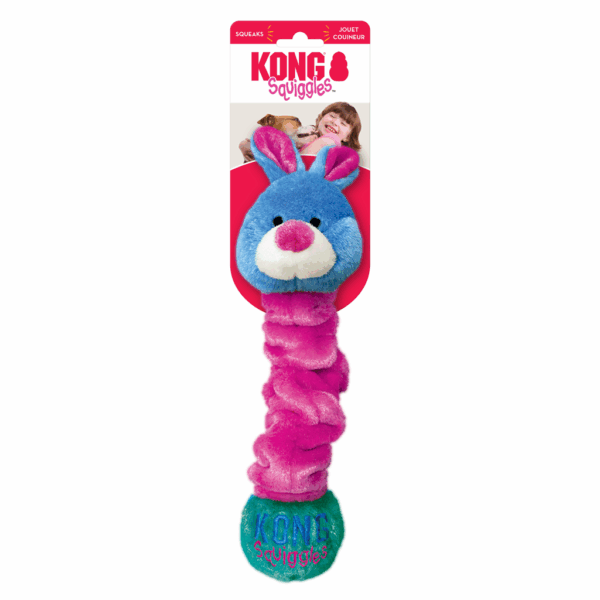 299236 Kong Squiggles Assorted Lg EU