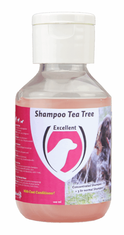 299262 Shampoo Tea Tree Dog