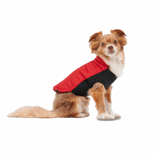 299264 Gooeez Mock Neck Signature Jacket 2XS Red/Black