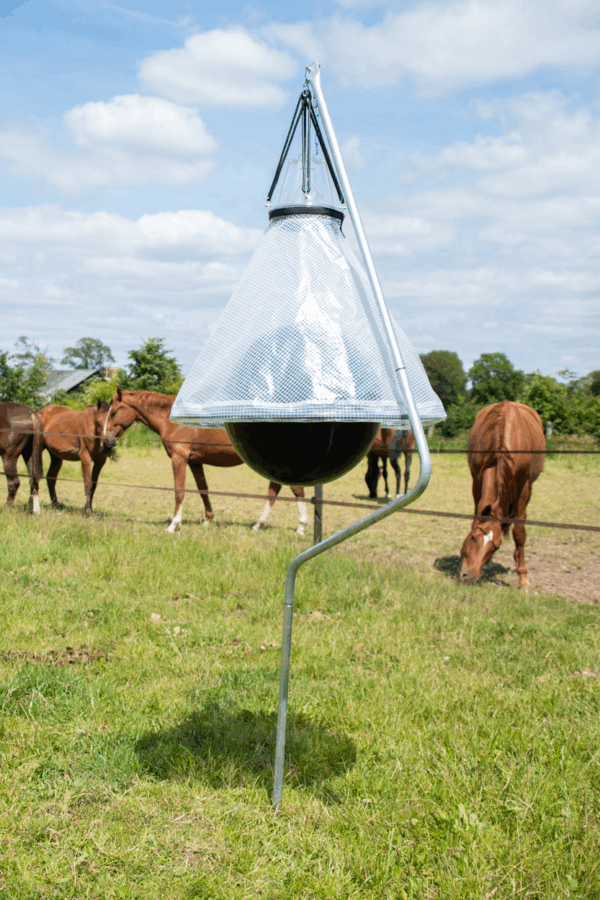 Loer Dazenval compleet