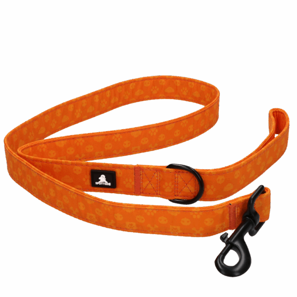 299442 Spotted! PRO Lijn Antraciet 120cm