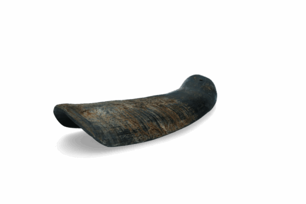 299496 Viking half Horn L