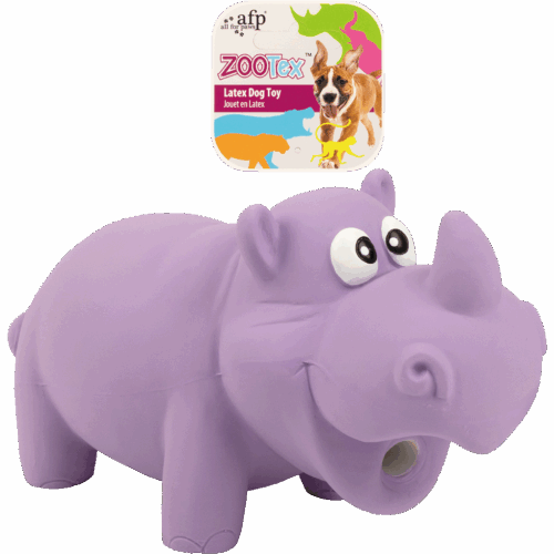 299546 AFP Reginald the rhino - L