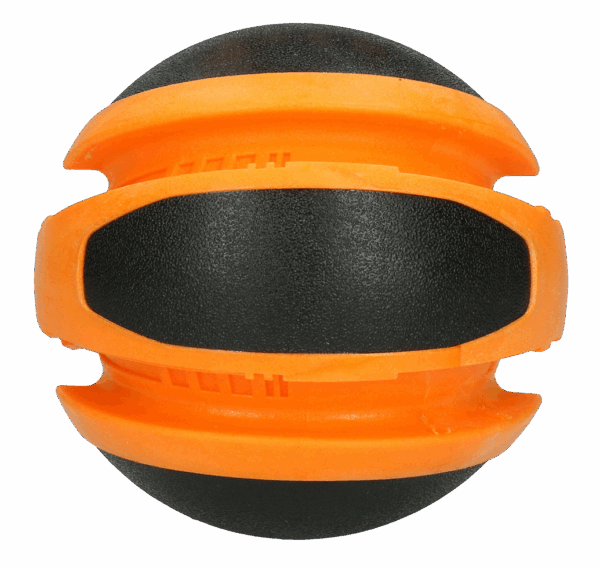 Dog Comets Planet Sun Oranje