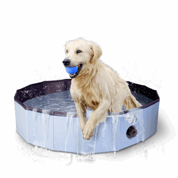 299625 CoolPets Zwembad 80x20