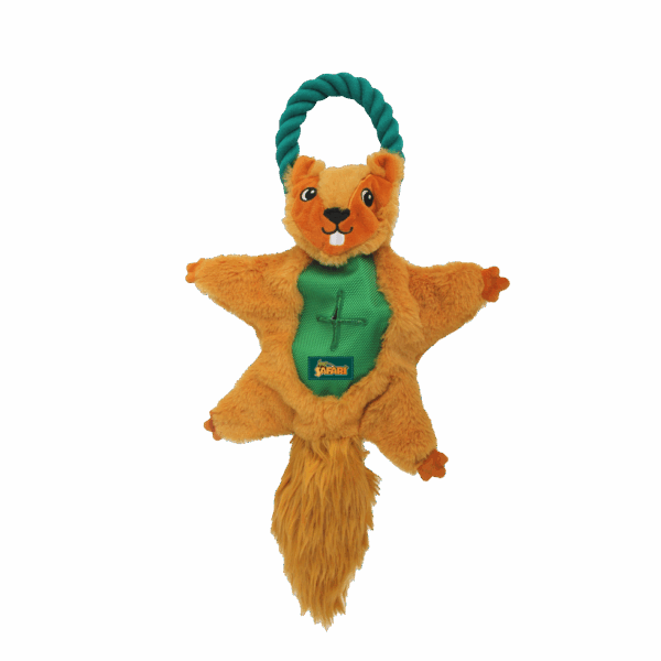 299683 AFP Safari - Air Squirrel