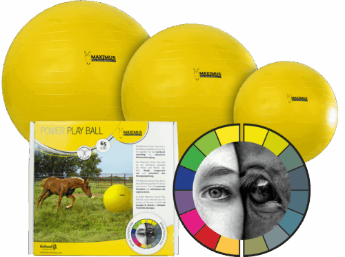 Maximus Power Play Ball 100cm