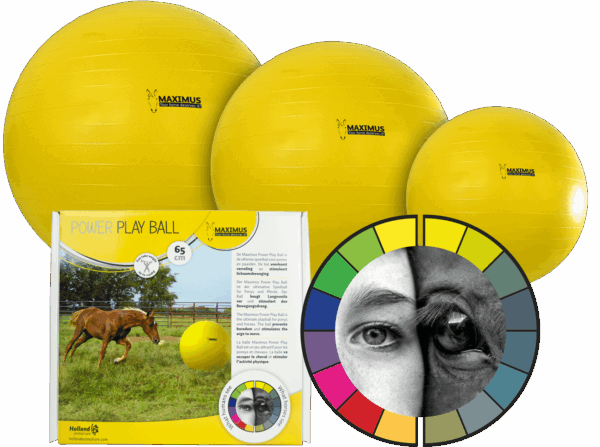 Maximus Power Play Ball 100cm