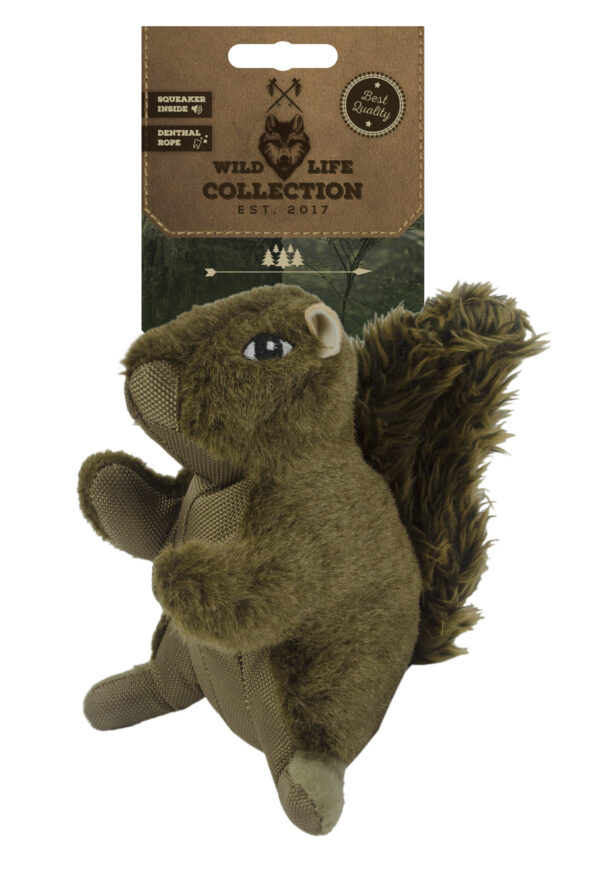 299898 Wild Life Dog Squirrel (Eekhoorn)
