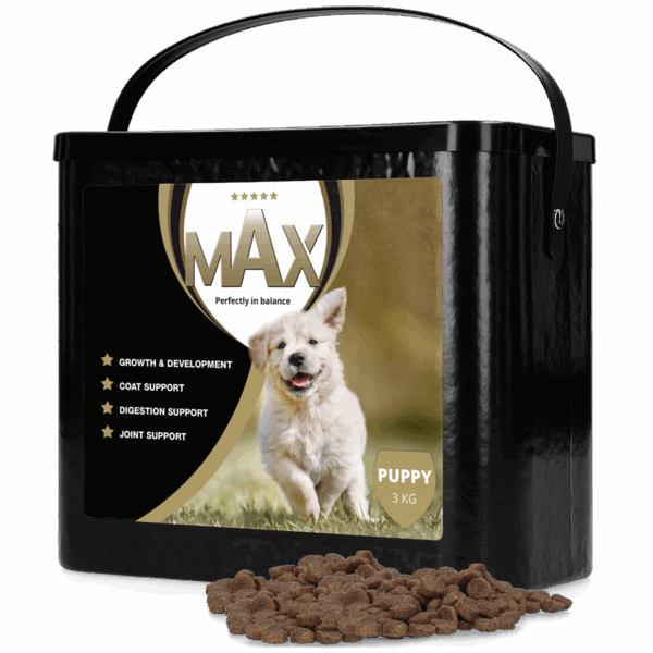 299940 Max Puppy